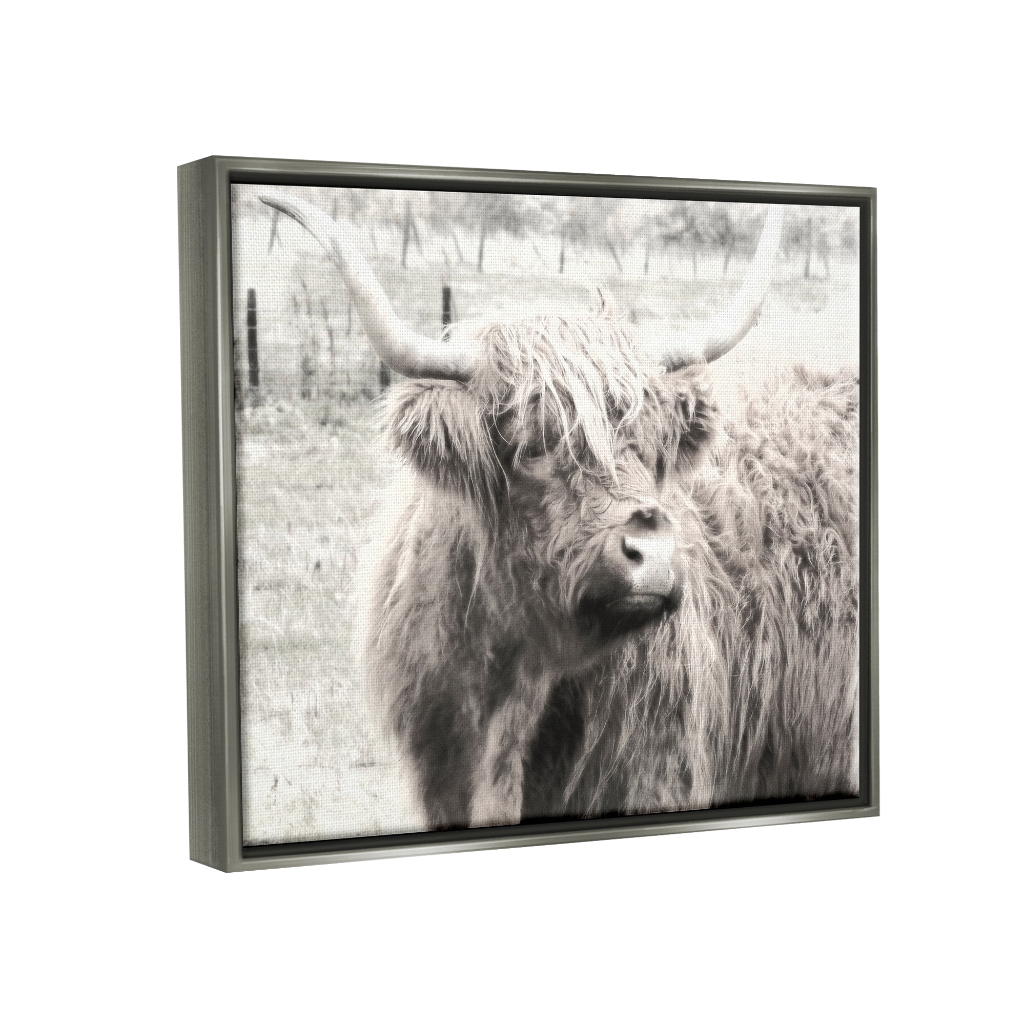 Stupell Industries Rustic Farm Highland Cattle Cow Monochrome Photography Photograph Luster Gray Floating Framed Canvas Print Wall Art, Design by Graffitee Studios