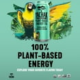 thumbnail image 5 of Yachak Yerba Mate Drink, Ultimate Mint, 16 fl oz, 12 Pack Cans, 5 of 13