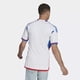 thumbnail image 4 of Jersey Playera Adidas de la Seleccion Nacional de Chile de Visitante Blanca Para Hombre, 4 of 4