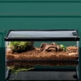 thumbnail image 2 of BeesClover Turtle Tank With Breathable Holes Fish Tank, Multifunctional Areas Full-View Aquarium For Horned Frogs, Hamsters, Snakes, Turtles, Lizards Small Pet Anti Escape Crawler Box, 2 of 8
