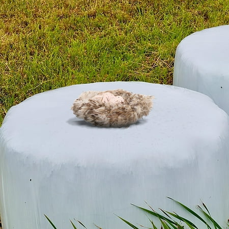 ETHZZLE 1Set Faux Bird Nest with Artificial Eggs for Home Decor and Micro Landscape ETHZZLE 1Set Faux Bird Nest with Artificial Eggs for Home Decor and Micro Landscape