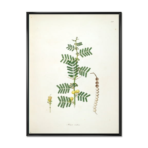 Designart 'Ancient Blossoming Flower III' Farmhouse Framed Canvas Wall Art Print