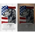 thumbnail image 2 of Caroline's Treasures LH9021CNL Flag with Flat Coated Retriever Ceramic Night Light, 6x4x3", multicolor, 2 of 2