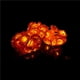 thumbnail image 3 of Fake Rose String Light 20 Led Con Pilas Ip44 A Prueba De Agua Excelente Iluminación Lámpara String Lighting Decoración Cadena Para Home Party Garden Valentine 3M / 9.84Ft Vogacara HA016701-00, 3 of 7