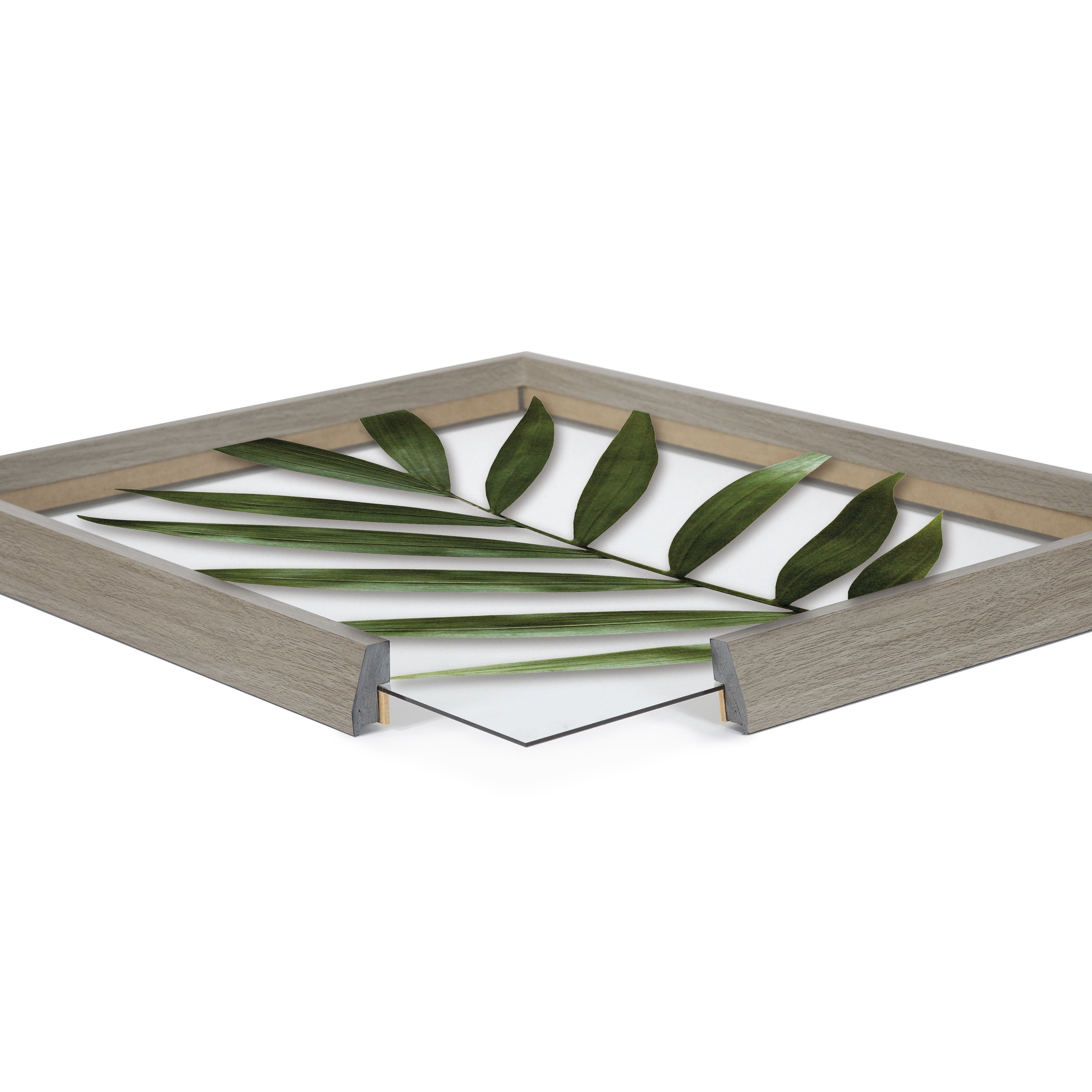Blake Botanical 5F 16 in x 20 in Framed Photography Art Prints, by Kate and Laurel