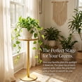 thumbnail image 6 of Gold Drink Table, Indoor Outdoor Small Round Side Table with Glass Top & Scroll Design, 24.7" Metal Pedestal End Table for Living Room, Patio, Balcony, Small Spaces, Weather Resistant, 6 of 9