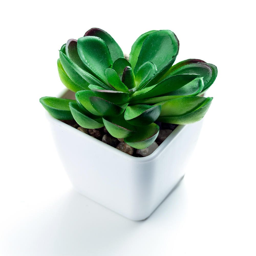 LIVINGbasics Mini Decorate Plants,Artificial Succulent Plants in Plastic Pot, 5*5*8cm Walmart