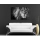 thumbnail image 2 of Cuadro Decorativo Moderno Para Recamara Cara De Leon Ideas Creativas Cuadro sublimado en tela, 2 of 2