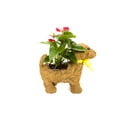 thumbnail image 5 of Ultimate Innovations Animal Planter - Dog, 5 of 9