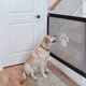 thumbnail image 5 of Puerta mágica para perros, recinto de seguridad portátil para perros, fácil de instalar y bloquear para mascotas, mantenga a los perros alejados de la cocina/arriba. TUNC Sencillez, 5 of 5