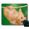 thumbnail image 1 of EREHome Cute Animal Eating Mouse pads Gaming Mouse Pad 9.84x7.87 inches, 1 of 1