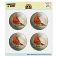 thumbnail image 1 of Cardinal Red Bird on Tree Branch Puffy Bubble Dome Scrapbooking Crafting Sticker Set, 1 of 4