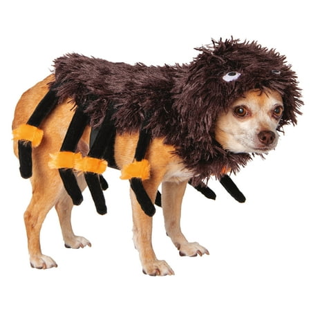 Way To Celebrate Halloween Pet Costume: Spider  Size Extra-Small