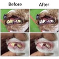 thumbnail image 6 of POINTERTECK 2 Pcs Three Sided Pet Toothbrush ,Dog 3-Head Brush Addition Bad Breath Tartar Teeth Care Dog Cat Multi-Angle Cleaning Mouth, 6 of 7