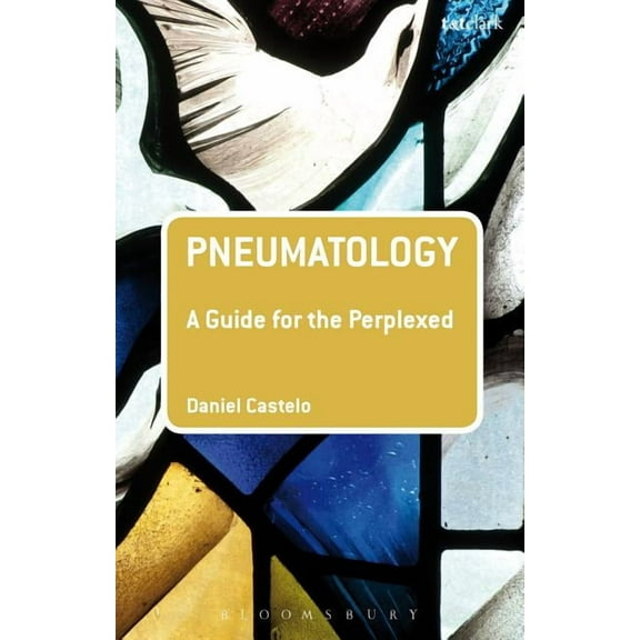 Guides for the Perplexed Pneumatology: A Guide for the Perplexed, (Hardcover)