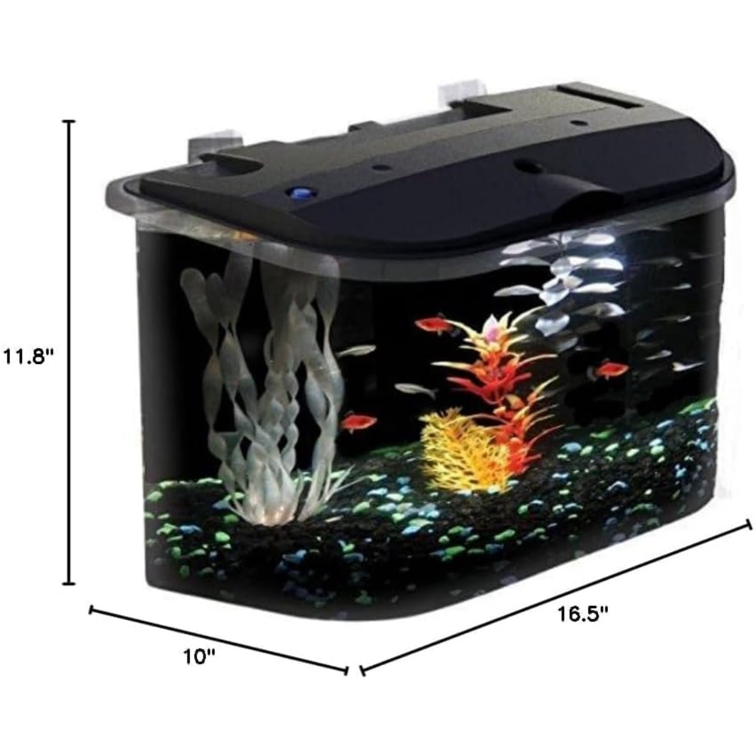 5-Gallon Aquarium Kit with LED Lighting and Power Filter, Ideal for a Variety of Tropical Fish