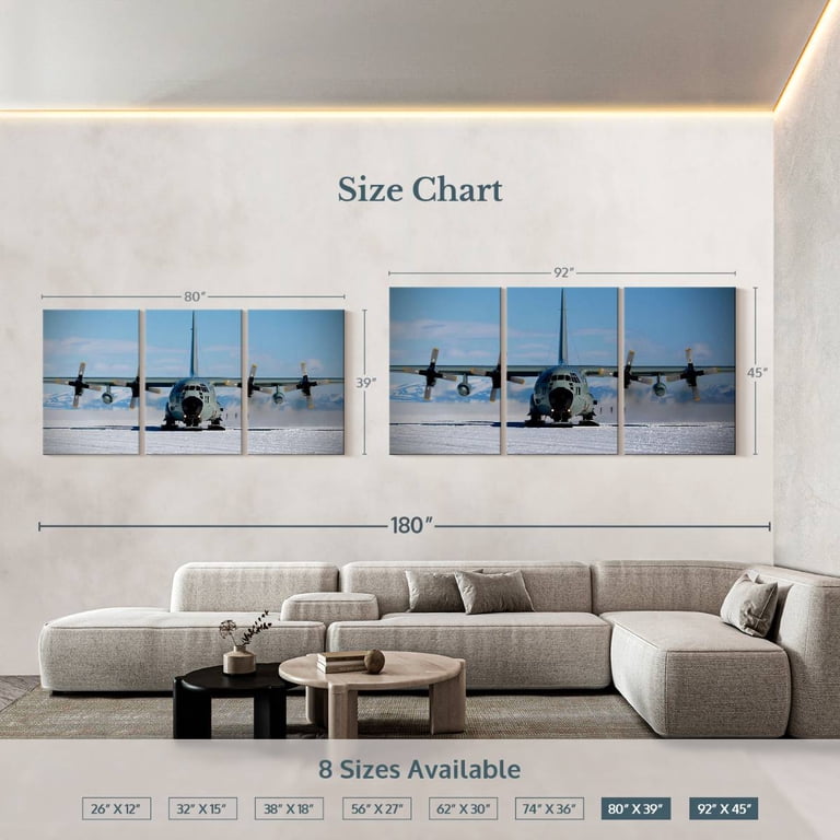 Elephant Stock C130 Aircraft In Antarctica Wall Art - Horizontal
