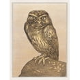 thumbnail image 2 of Hoytema, Theo van 19x24 Gold Ornate Wood Framed with Double Matting Museum Art Print Titled - Little owl on rock, 2 of 4