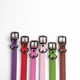thumbnail image 4 of Juego de collar para mascotas Collar ajustable de cuero para cuello de perro pequeño mediano grande, 4 of 5