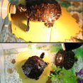 thumbnail image 3 of Reptile Basking Board  Climbing Ladder No Fading Safe  Reptile Animal Rest Terrace, 3 of 5