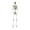 E, variant on HHBEAUTY Halloween Skeleton Decoration, 72.8" Full Body Posable Hanging Skeleton with Movable Joints for Graveyard Haunted House Indoor Outdoor, White