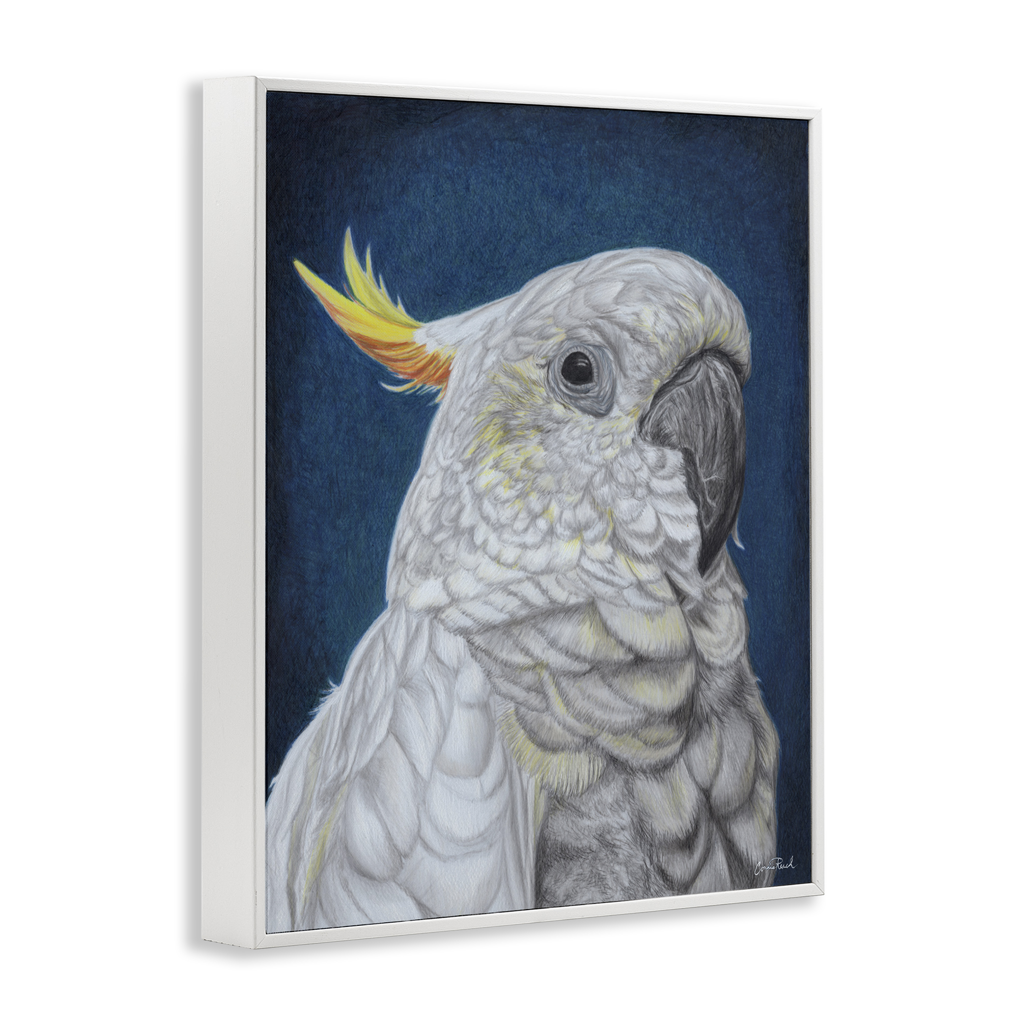 Stupell Industries Traditional Cockatoo Visage Animals & Insects Painting White Framed Art Print Wall Art, 16 x 20