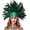 Gn, variant on VZQI Women's Black Feather Headpiece Carnival Caribbean Headdress Showgirl Accessories
