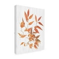 thumbnail image 2 of Trademark Fine Art 'Sweet Foliage I' Canvas Art by Dianne Miller, 2 of 3