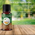 thumbnail image 3 of Aceite Esencial de Romero y Eucalipto - Aromaterapia 10 ML Vida Scents aceite_esencial_Romero_Eucalipto_10, 3 of 5