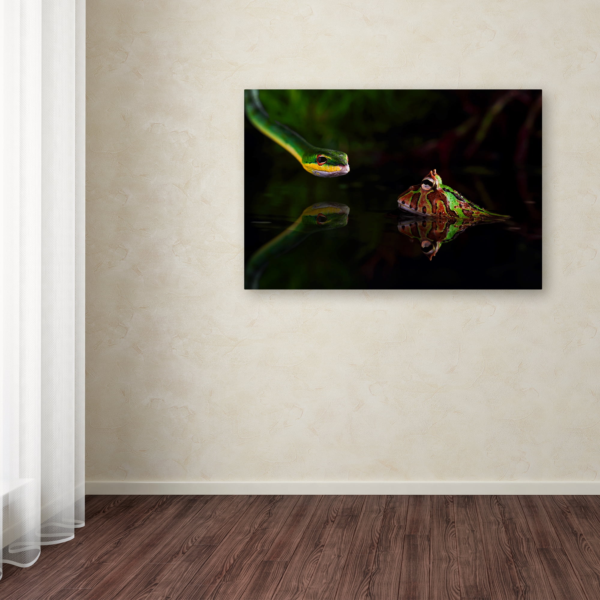 Trademark Fine Art 'Snake' Canvas Art by Unknown Artist