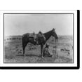 thumbnail image 2 of Historic Framed Print, The horse wrangler.Erwin E. Smith, Bonham, Texas., 17-7/8" x 21-7/8", 2 of 9