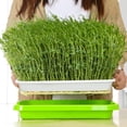 thumbnail image 3 of Bandejas para kit de germinación, libres de BPA y sin tierra, resistentes a la corrosión, que prometen altas tasas de germinación para semillas variadas, 3 of 7