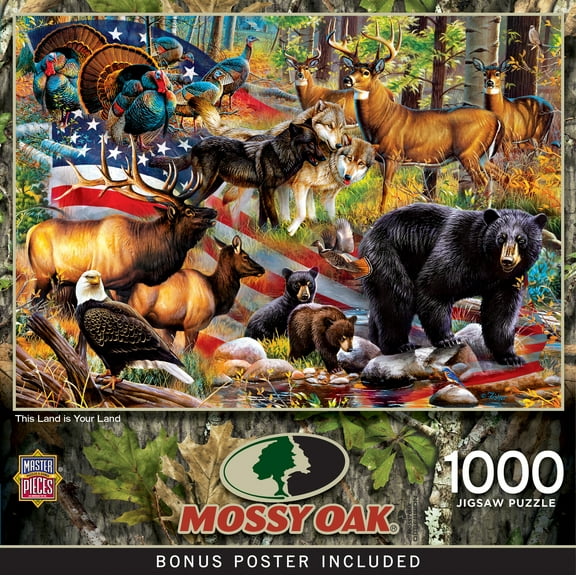 MasterPieces 1000 Piece Puzzle - This Land is Your Land - 19.25"x26.75"