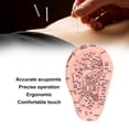 thumbnail image 4 of Ear Acupuncture Model, Learning Ear Acupuncture Model Stimulation Ergonomic Silicone  for Home, 4 of 7