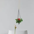 thumbnail image 2 of 4 piezas de soporte para plantas de Tillandsia, maceta colgante geométrica, soporte para piña, 2 of 6