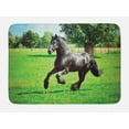 thumbnail image 1 of Horses Bath Mat, Friesian Male Horse Masculine Driving Force of Life Power Inner Strength Symbol, Non-Slip Plush Mat Bathroom Kitchen Laundry Room Decor, 29.5 X 17.5 Inches, Black Green, Ambesonne, 1 of 2