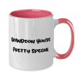 thumbnail image 2 of Fun Grandson Two Tone 11oz Mug, Grandson You're Pretty Special, Present For Grandchild, Joke Gifts From Granddad, Two tone mug, Unique mug, Grandson gift, 2 of 2