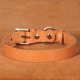 thumbnail image 3 of Didog Thin Plain Leather Dog Collar for Small Dogs Pet Puppy Cat Necklace Chihuahua S M, 3 of 8
