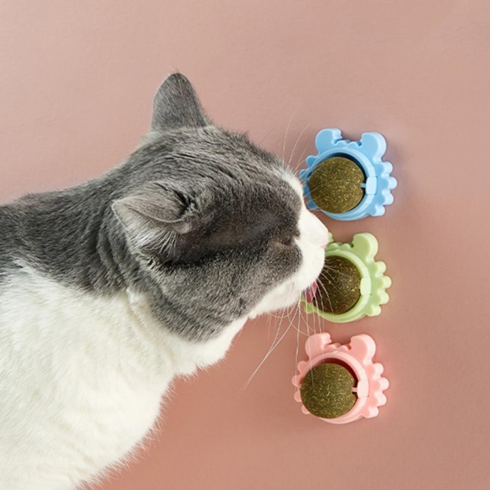 Catnip Toy for Cats, Catnip Edible Balls Natural Rotatable Licking