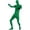 Green, variant on Full Body Disappearing Spandex Suit, Unisex Zentai Suit, Stretchy Full Coverage Skin Suit, Halloween Cosplay Stage Performance Costume