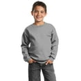 thumbnail image 1 of Port & Company? - Sudadera de cuello redondo Core Fleece para j?venes. PC90Y Puerto & Compa??a PC90Y, 1 of 1