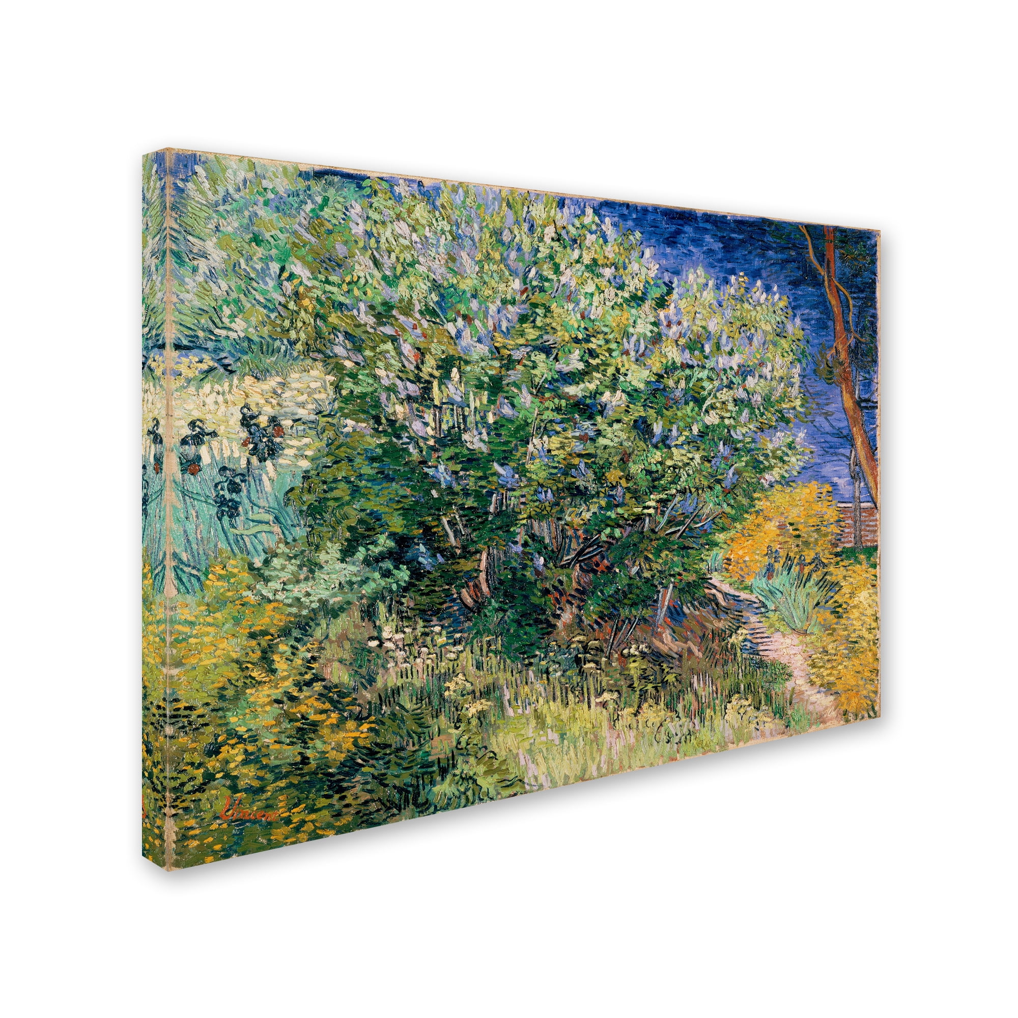 Van Gogh 'Lilac Bush' Canvas Art