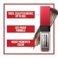 thumbnail image 3 of Maybelline Tattoo Brow 3 Day Styling Gel, Waterproof, High-Pigment Colour, 3 of 6