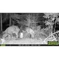 thumbnail image 3 of Primos Hunting Bullet Proof 2 8MP Low Glow HD Scouting Game Trail Camera, 2 Pack, 3 of 6
