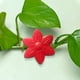 thumbnail image 4 of Green Plants Climb The Wall Buckle Green Holders, 4 of 8