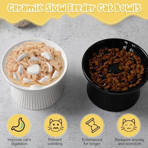 2 Pcs Raised Cat Slow Feeder Bowl Ceramic Elevated Cat Dog Food Bowl No Spill High Edge for Dry Wet Food and Water Easy to Clean, Dishwasher Safe (Black,White)