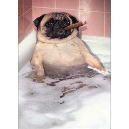 Avanti Press Pug Takes Bubble Bath Funny Dog Father's Day Card