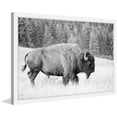 thumbnail image 2 of Marmont Hill Buffalo Grazing Framed Wall Art, 2 of 6