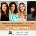 thumbnail image 4 of Sunny Isle Batana Leave-In Detangler Conditioning Treatment - Detangling Spray - 8 fl oz, 4 of 8