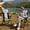 Black & Gray, variant on WTVIDAS Double Beach Chair with Canopy Shade Oversized Camping Chairs with Cup Holder Cooler Bag Folding Loveseat Chairs for Camping Beach Lawn